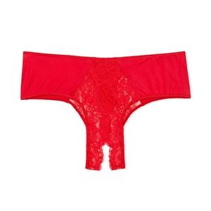 NWT Victoria’s Secret Very Sexy Lace Ouvert Cheeky Panty